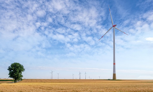 Miljøvenlig algebehandling: Naturlige løsninger til dit udendørsmiljø