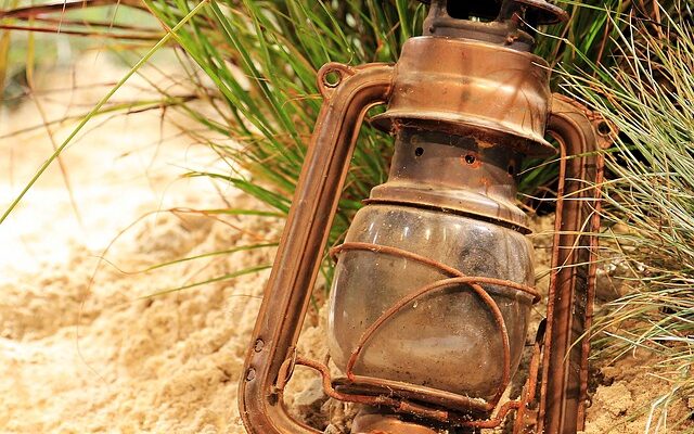 Lys fremtid: Sådan vælger du de mest energibesparende lyskilder